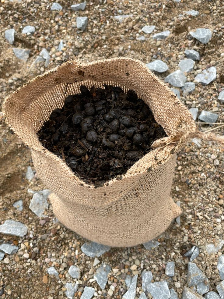 Organic Compost